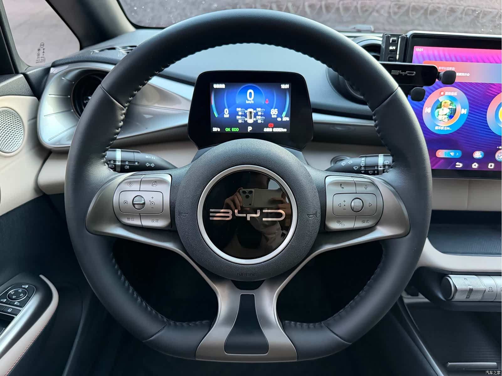 BYD Dolphin, 2024 8