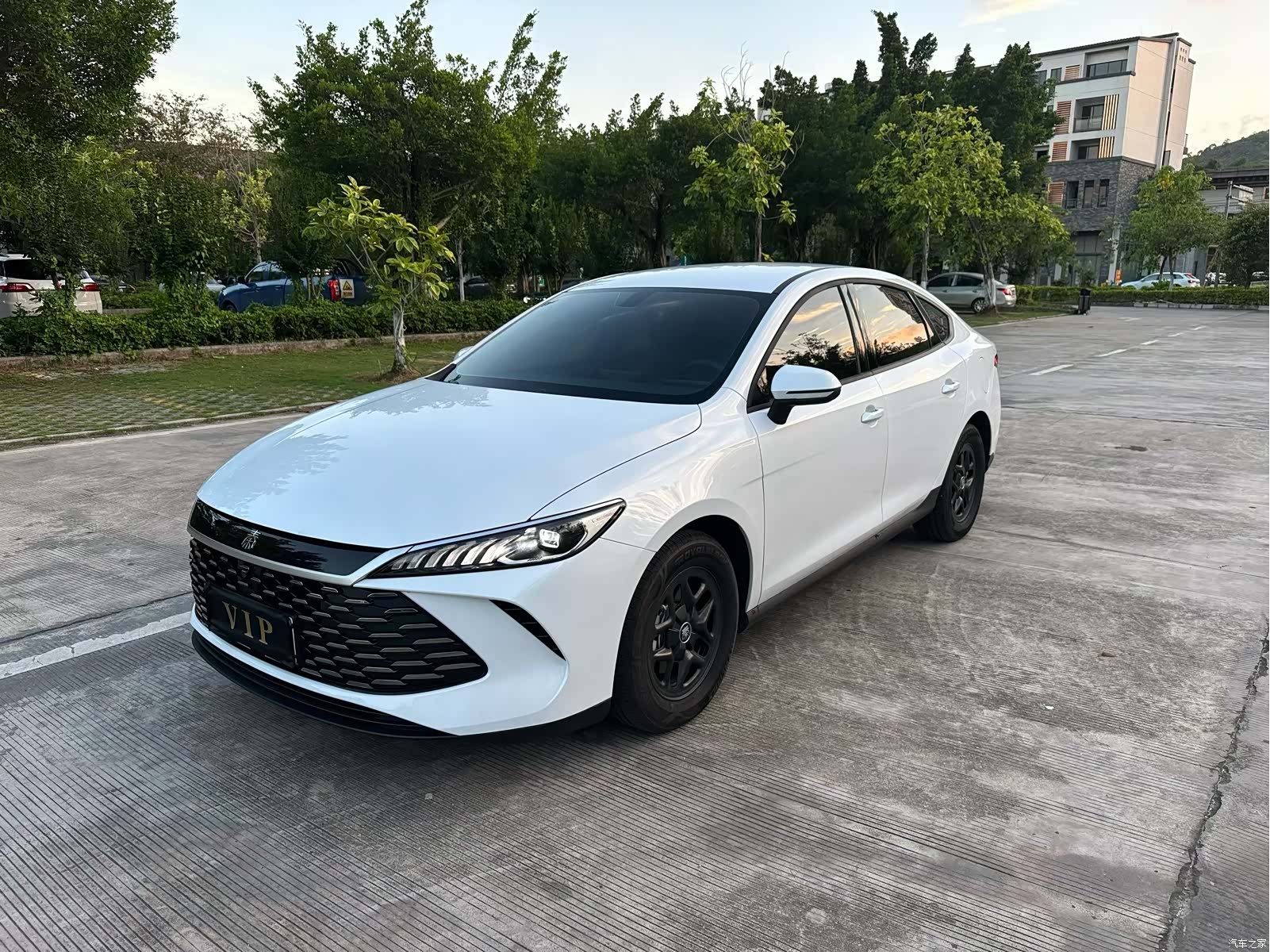 BYD Qin, 2025 1
