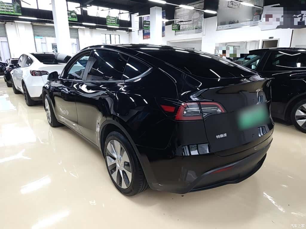 Tesla Model Y, 2023 все фото