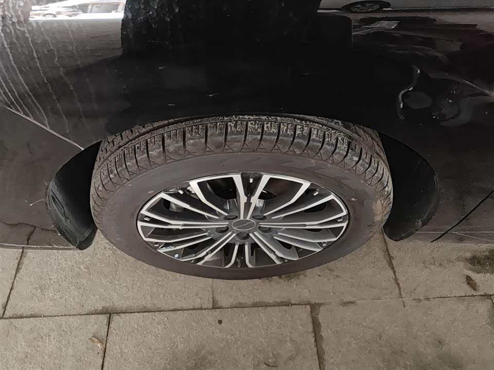 Forthing Xinghai V9 Forthing Xinghai V9