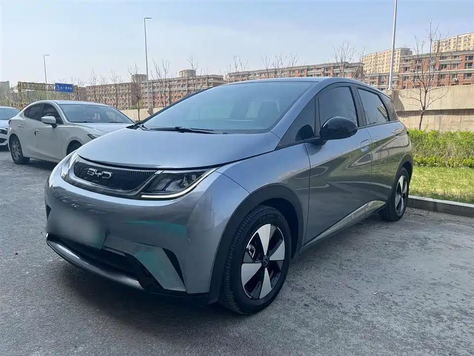BYD dolphin
