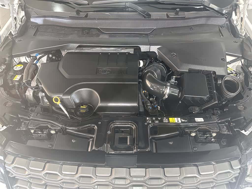 Land Rover Discovery, 2021 все фото