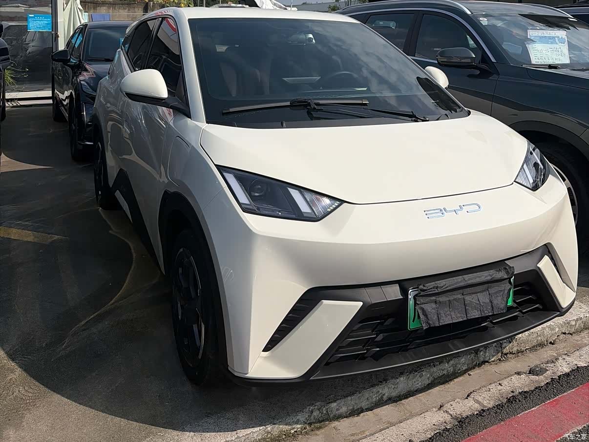 BYD Seagull, 2024 3