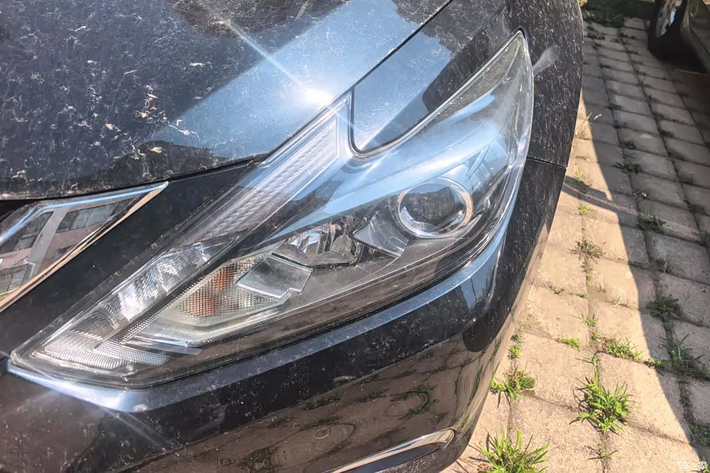 Nissan Teana, 2017 все фото