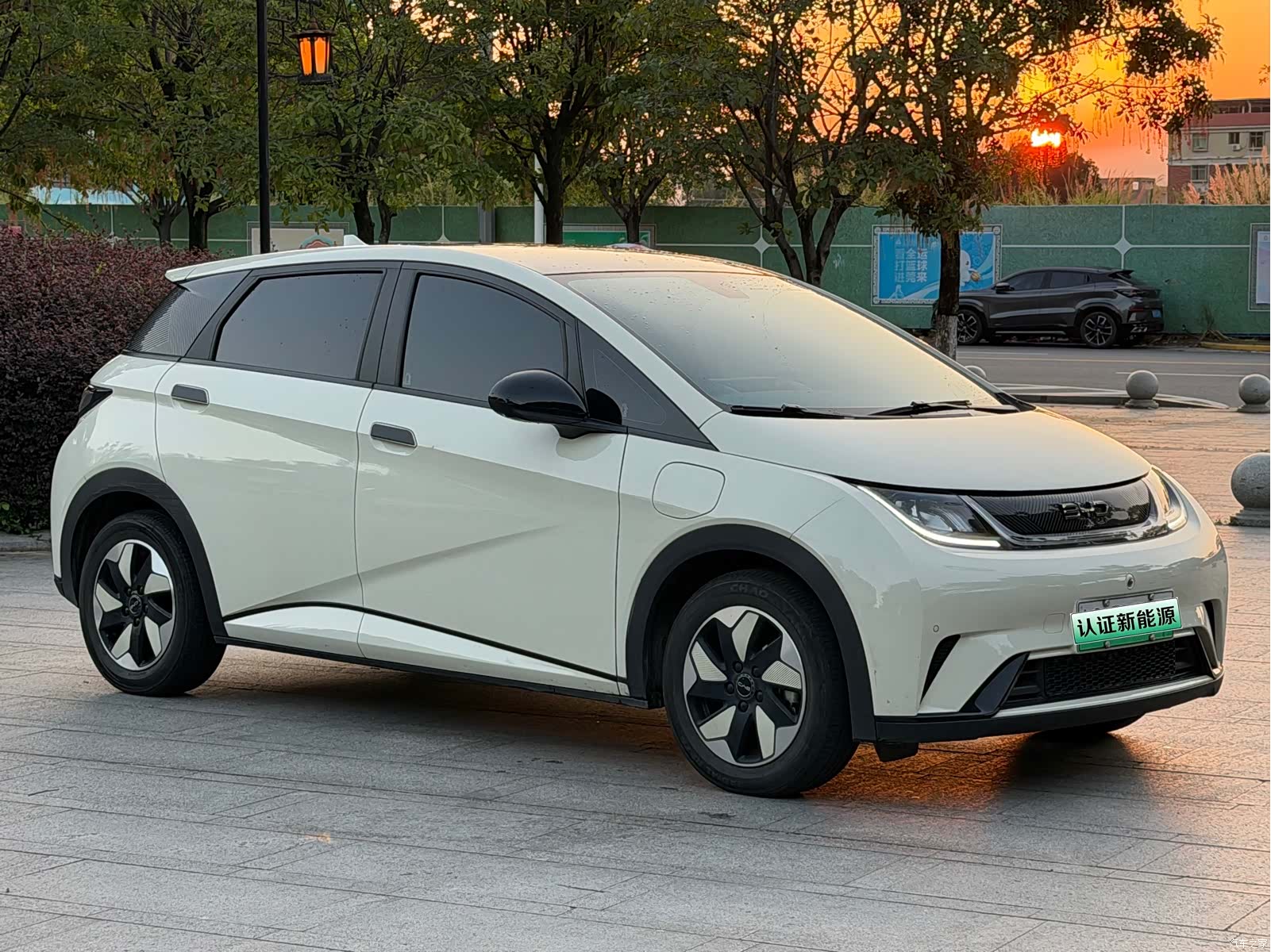 BYD Dolphin, 2024 3