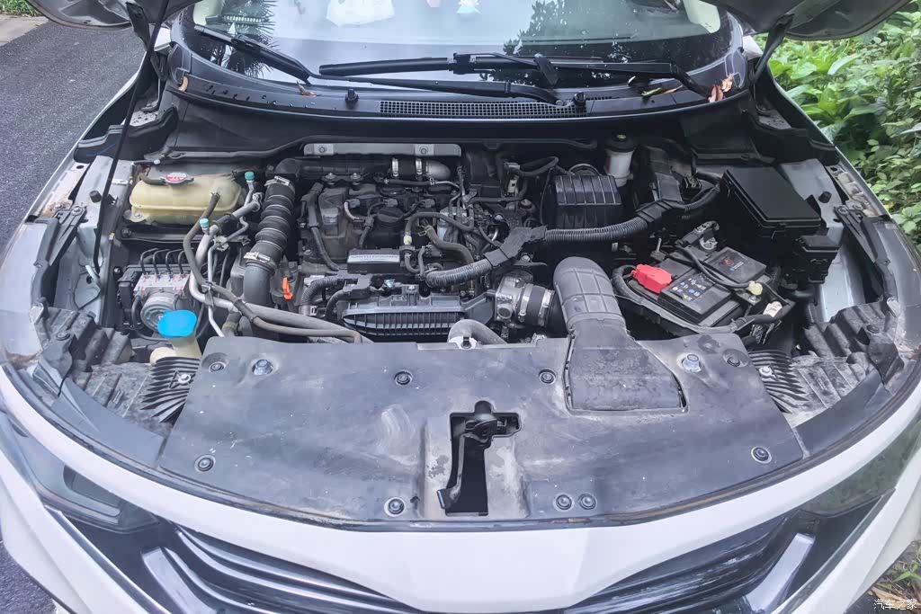 Honda V, 2019 10