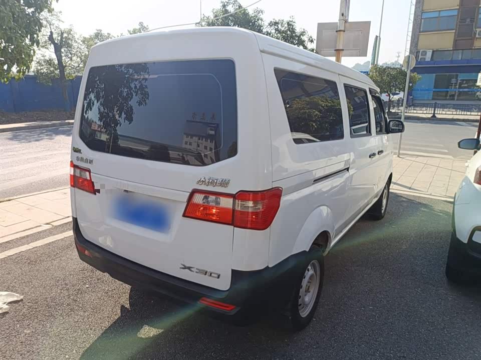 Jinbei Little Sea Lion X30