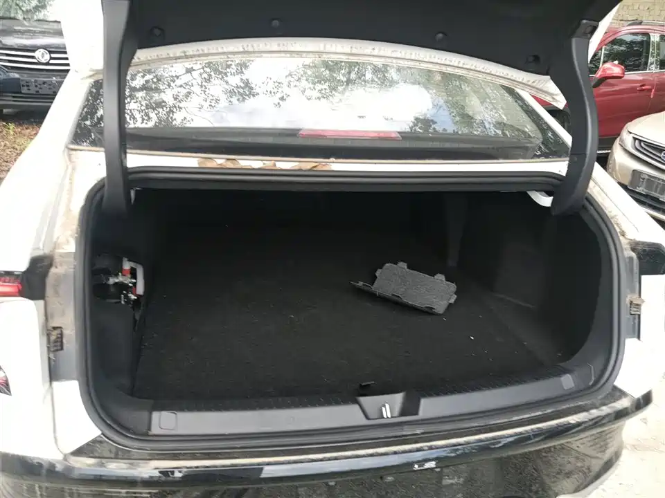 Wuling Wuling Starlight