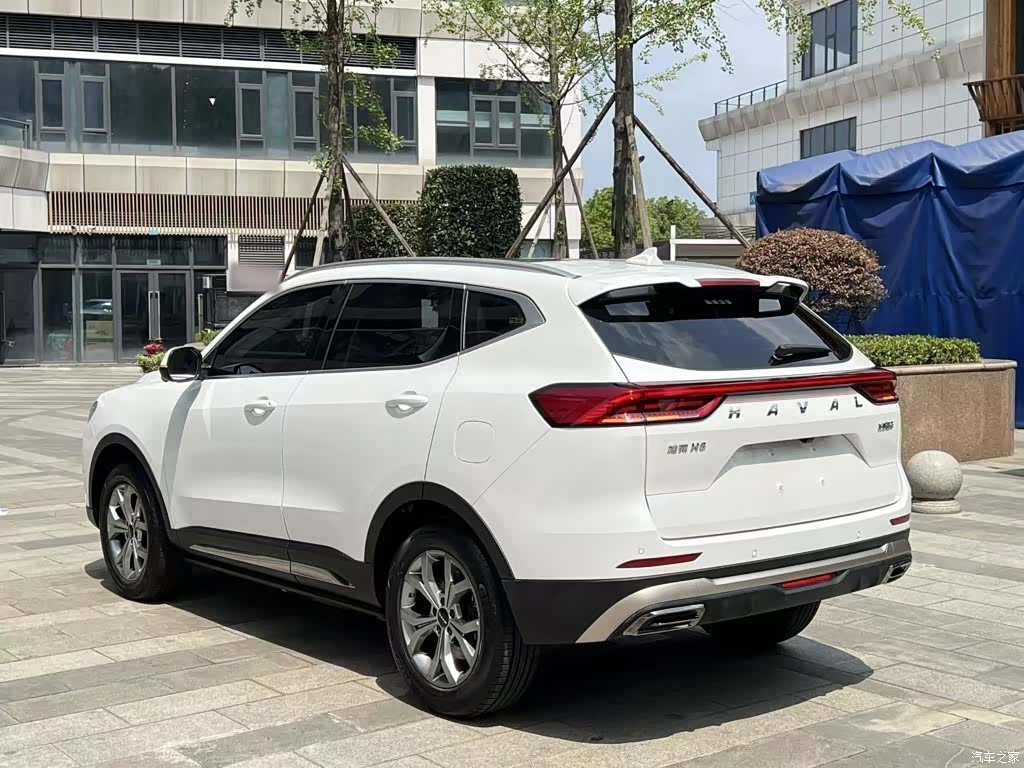 Haval H6, 2022 все фото