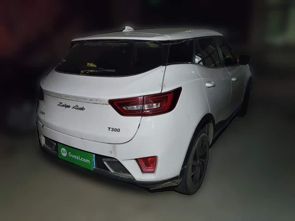 Zotye T300