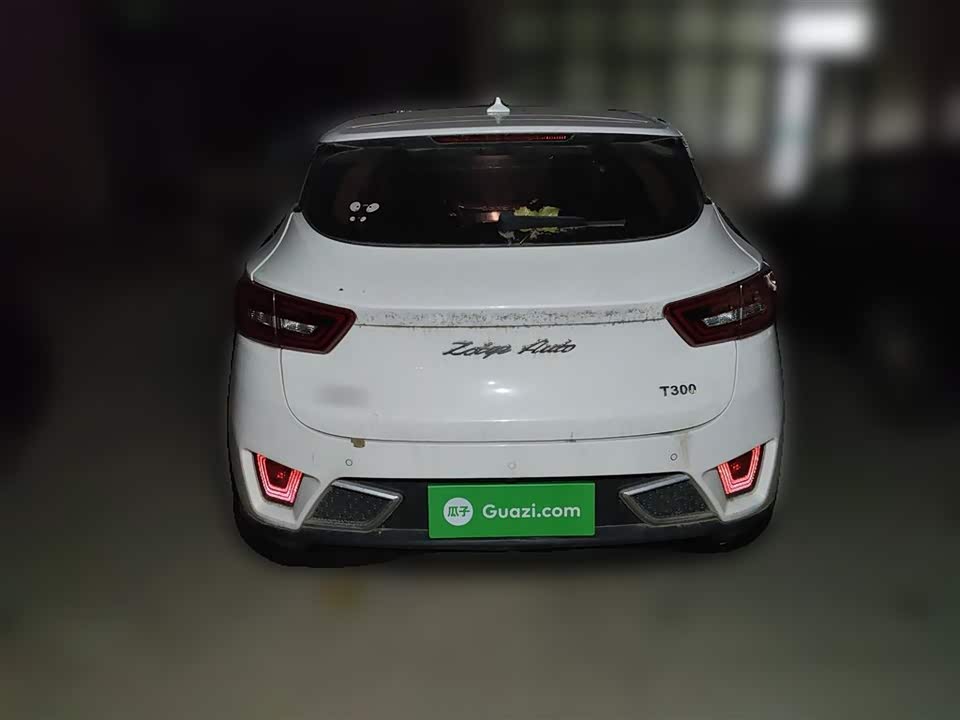 Zotye T300