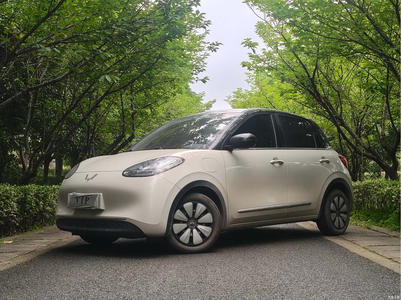 Wuling Bingo, 2024 1