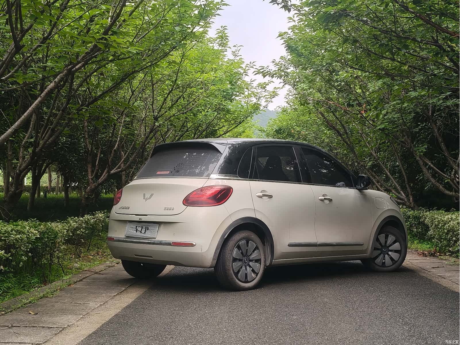 Wuling Bingo, 2024 4