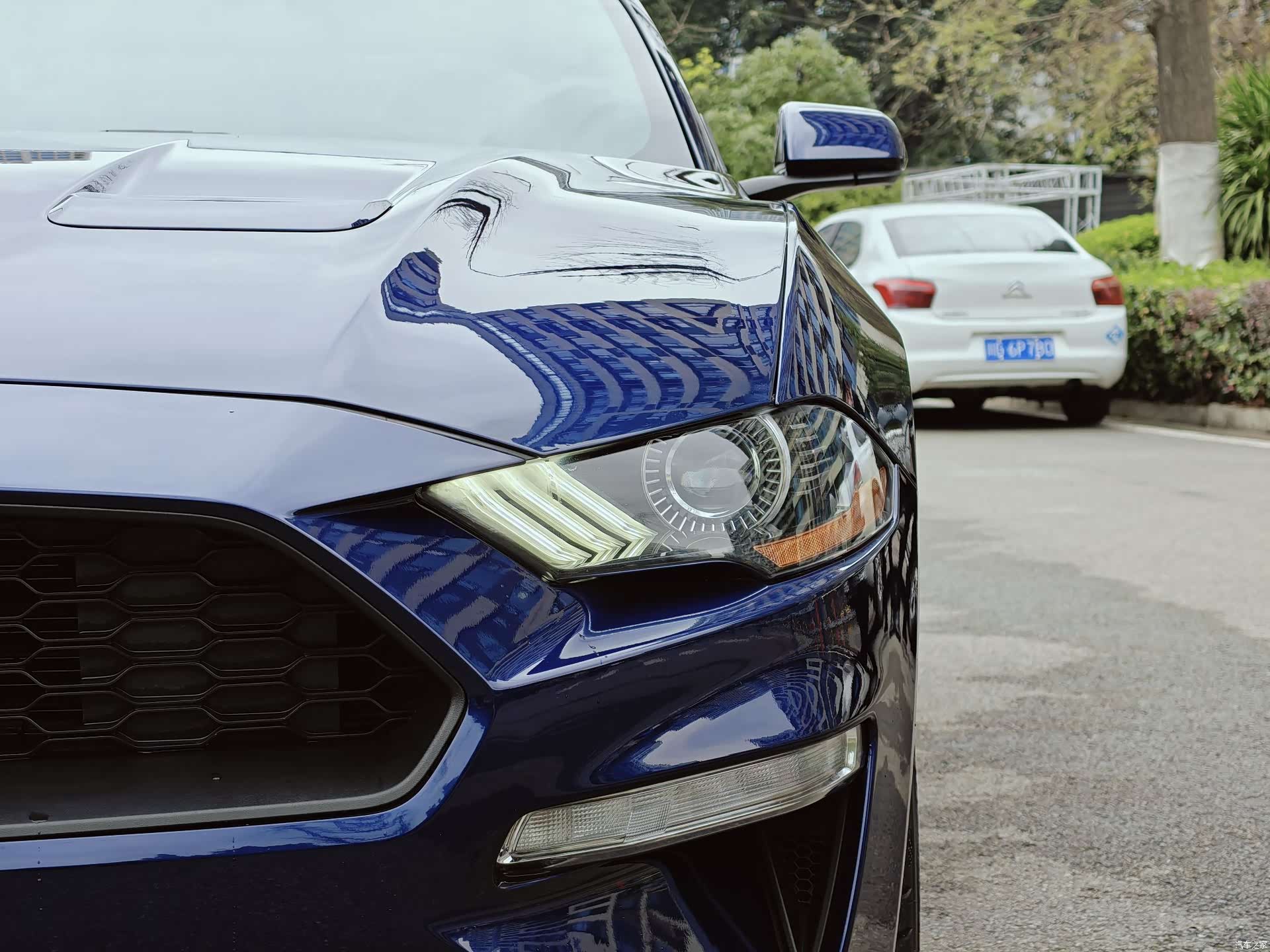 Ford Mustang, 2022 все фото