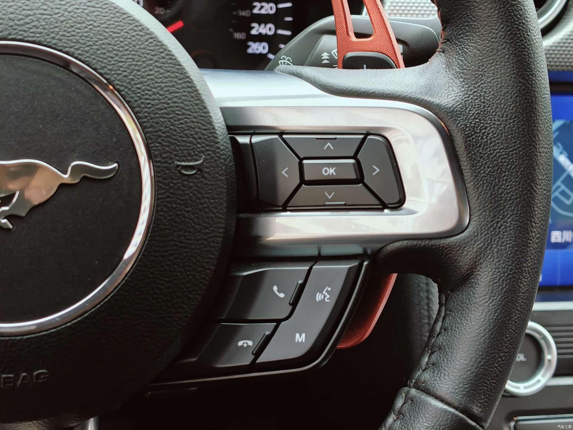 Ford Mustang, 2022 18