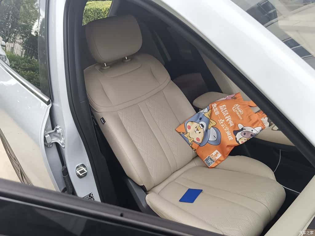 Wuling Starlight, 2024 22