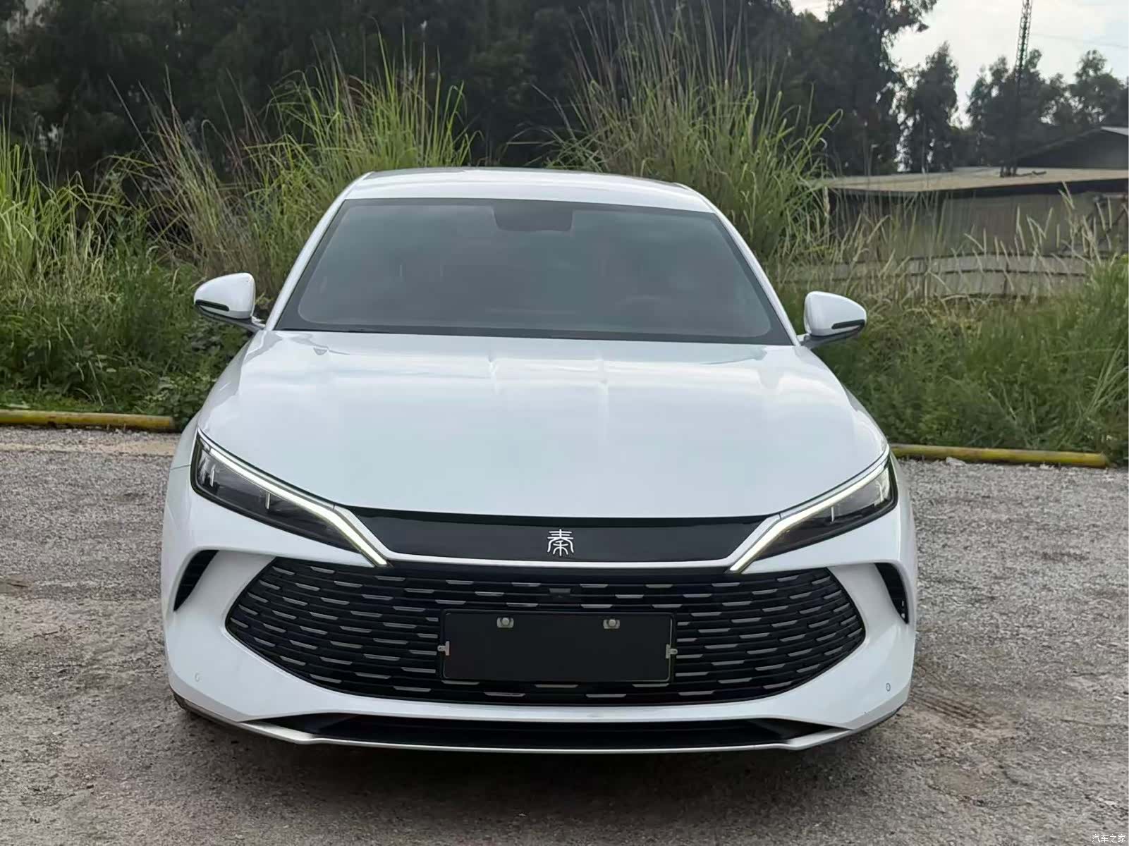 BYD Qin, 2025 2
