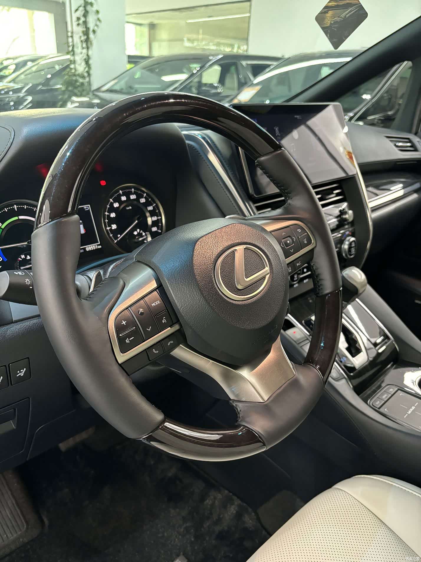 Lexus LM, 2023 18