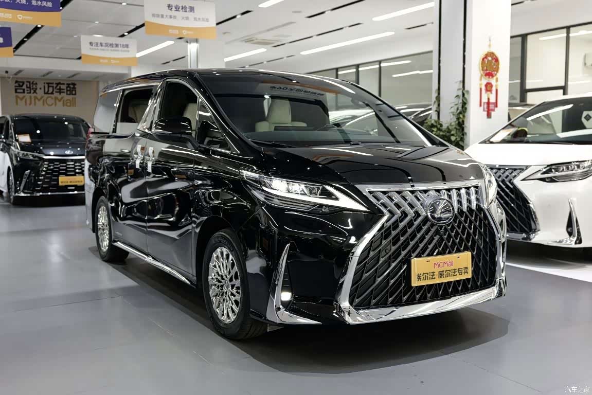 Lexus LM, 2023 9