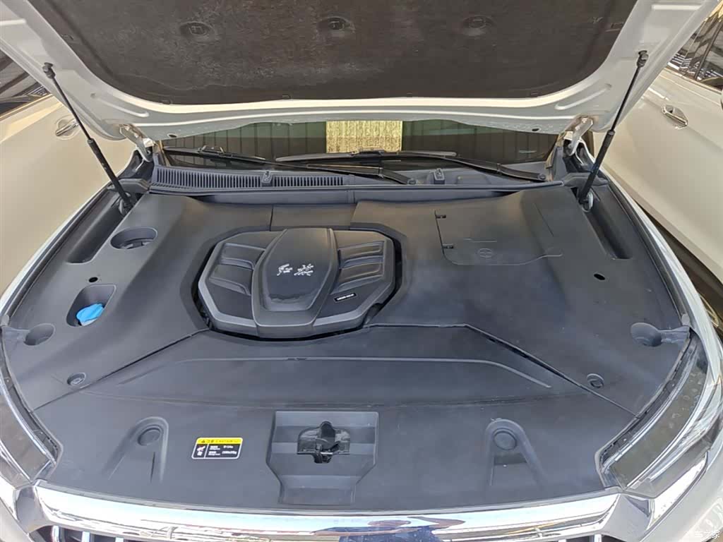 Hongqi HS5, 2021 20