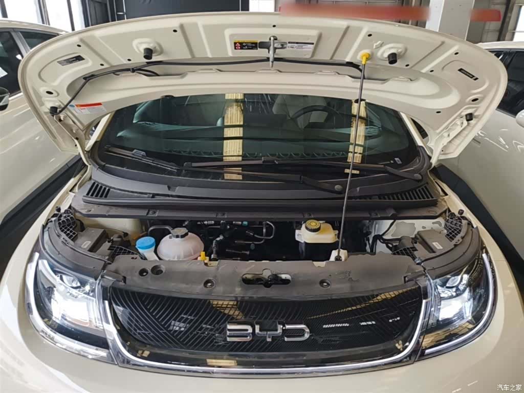BYD Dolphin, 2026 20