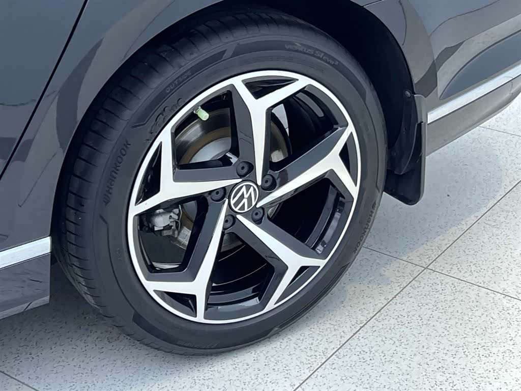 Volkswagen Magotan, 2024 8