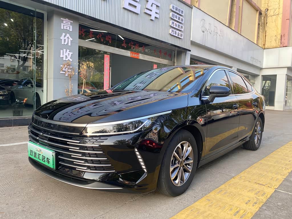 BYD Destroyer 05 2024 DM-i 55KM Luxury