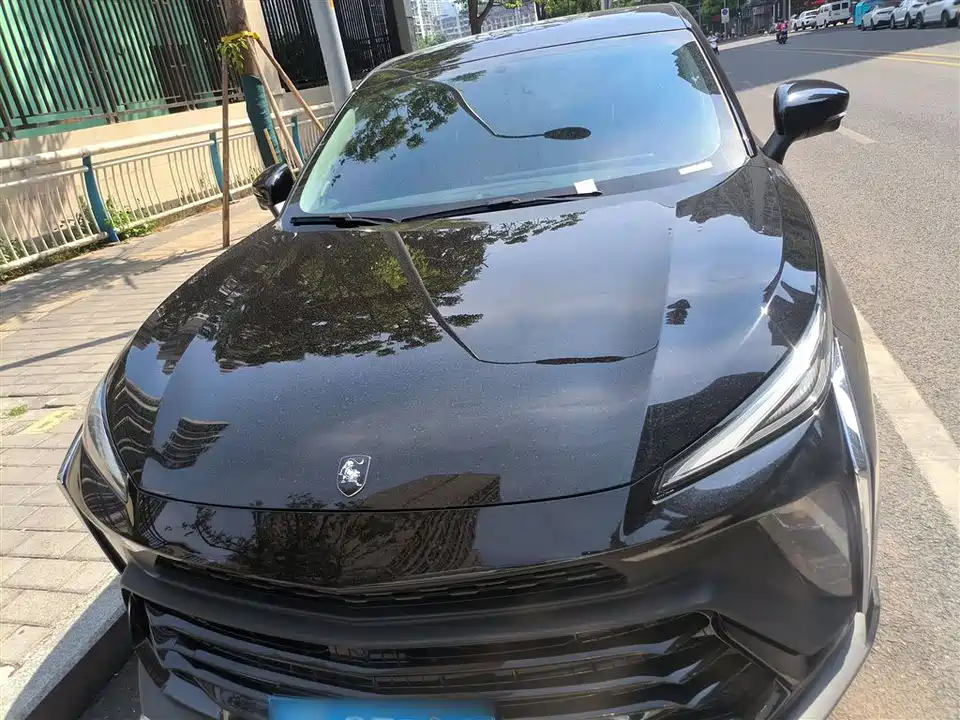 Forthing Popular T5 EVO