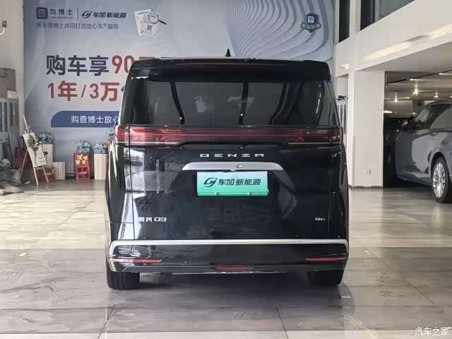 Denza D9, 2024 8