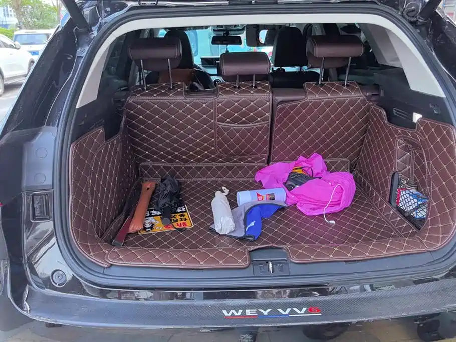 Weipai VV6
