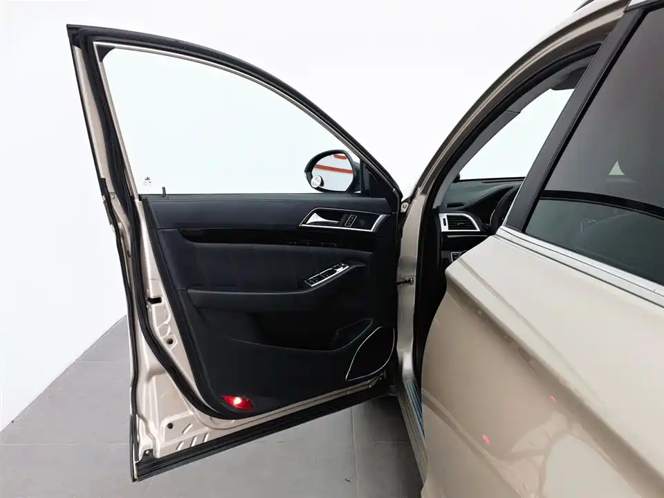 Leopaard Cheetah CS10