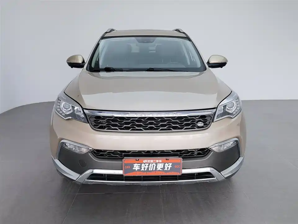 Leopaard Cheetah CS10