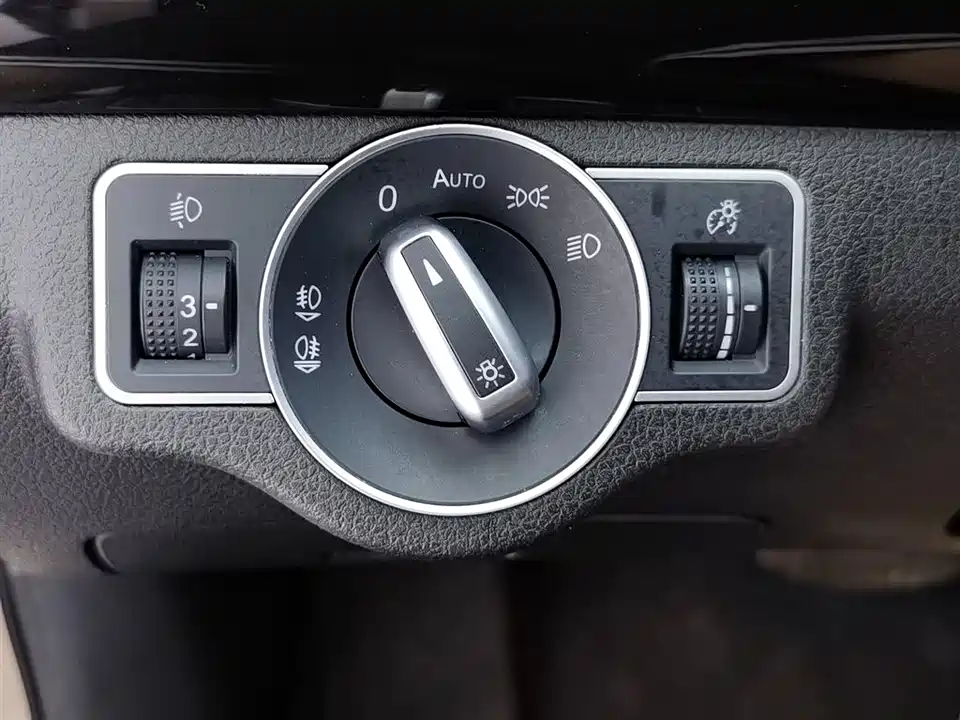 Leopaard Cheetah CS10