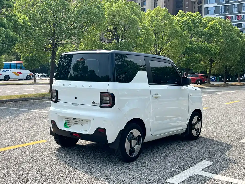 Geely Galaxy panda