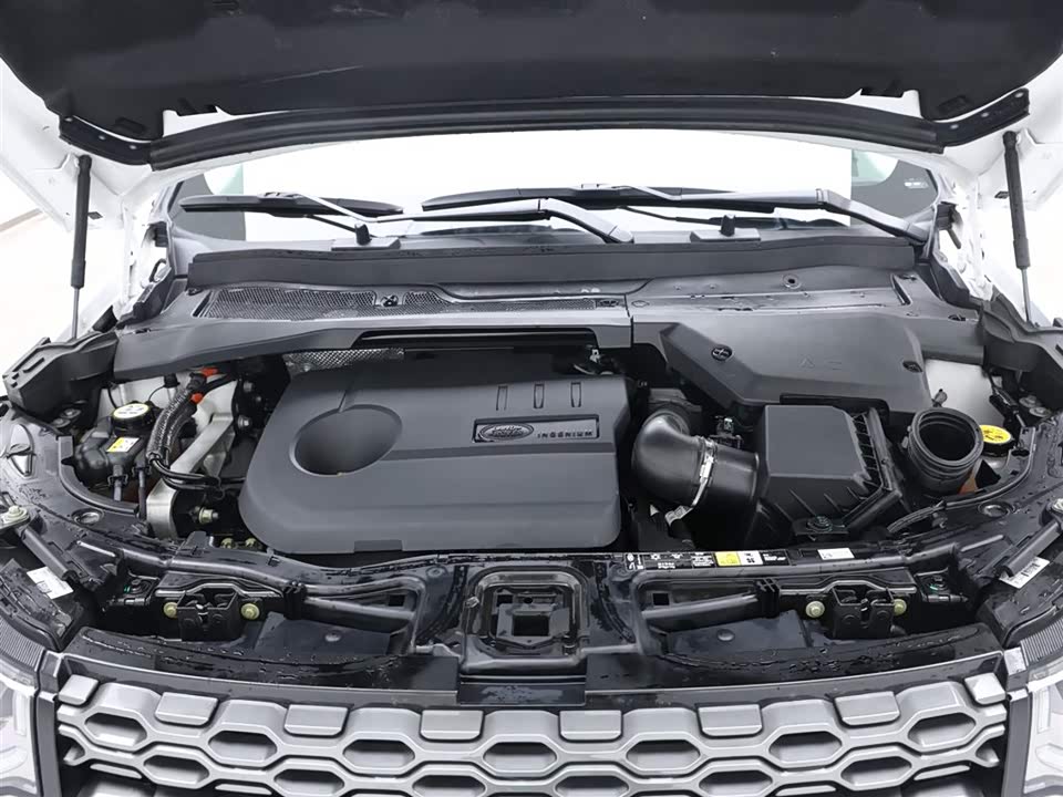 Land Rover Discover sources for sports