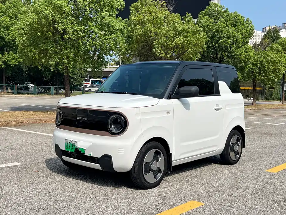 Geely Galaxy panda