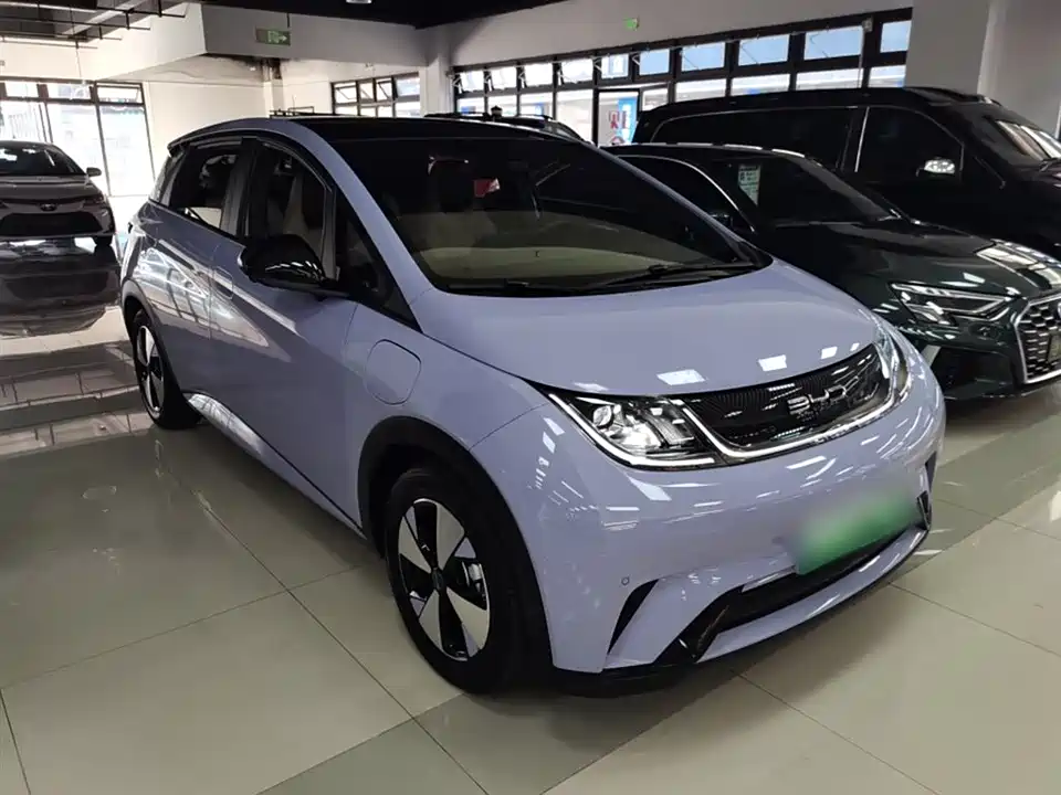 BYD dolphin