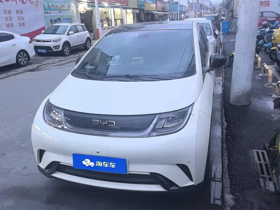 BYD dolphin