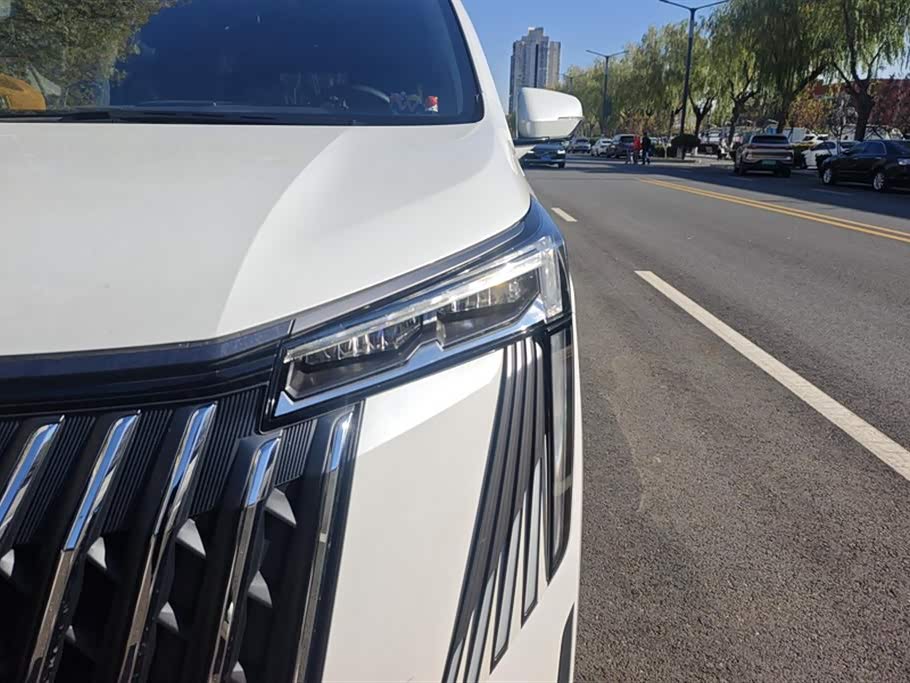 Trumpchi Trumpchi M8