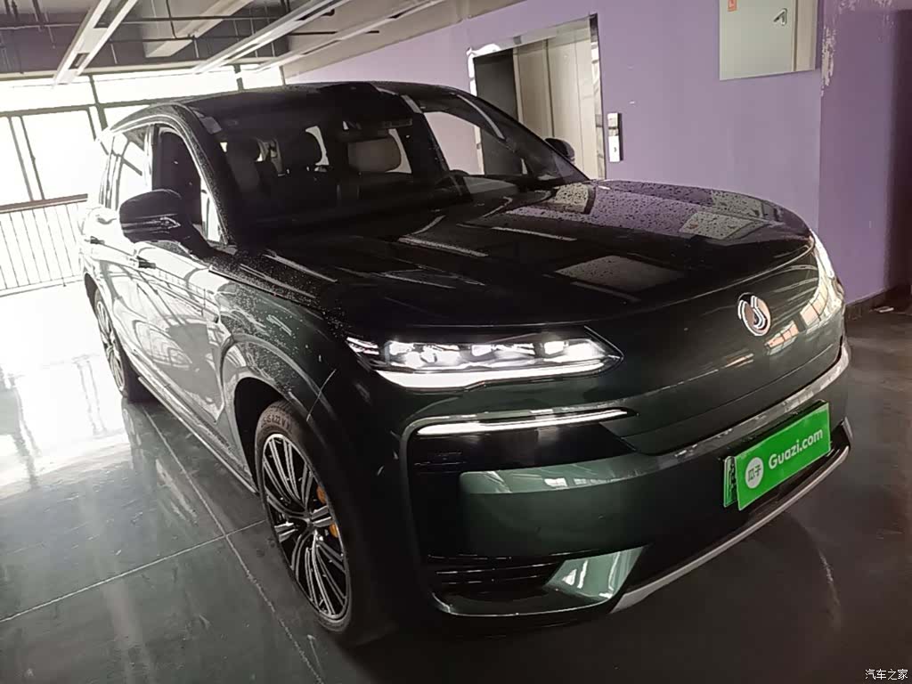 Denza N9, 2025 4