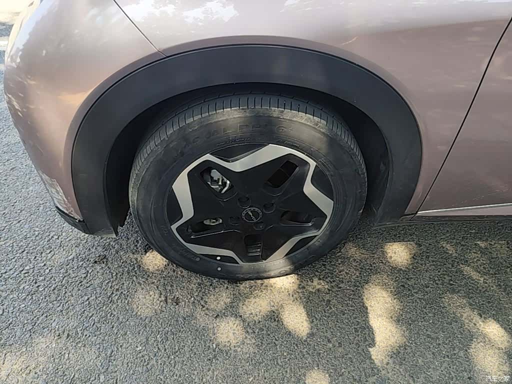 BYD Dolphin, 2022 23