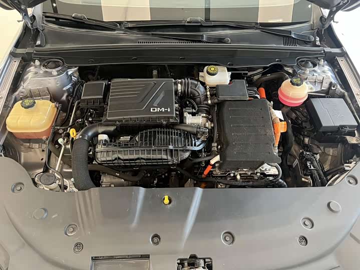 BYD Qin Plus 2021 DM-i 55KM Flagship