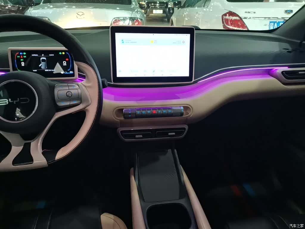 BYD Seagull, 2024 13