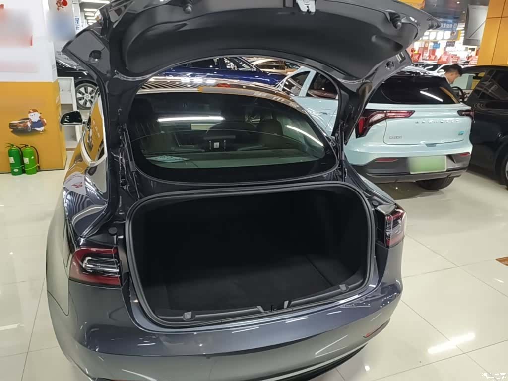 Tesla Model 3, 2020 19