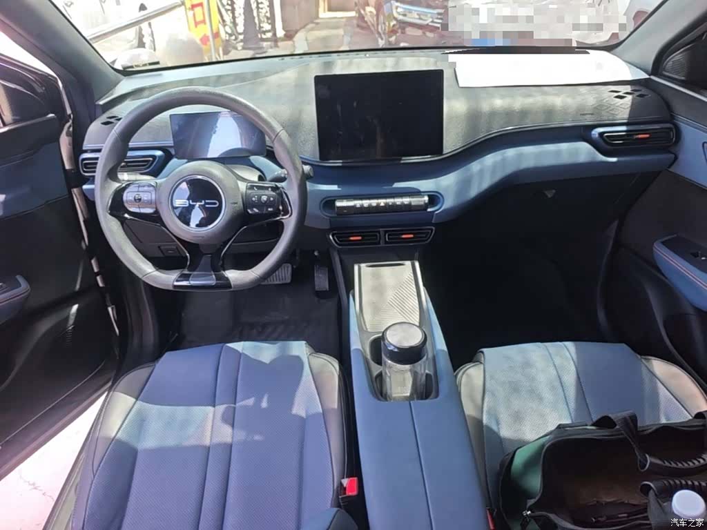 BYD Seagull, 2024 10