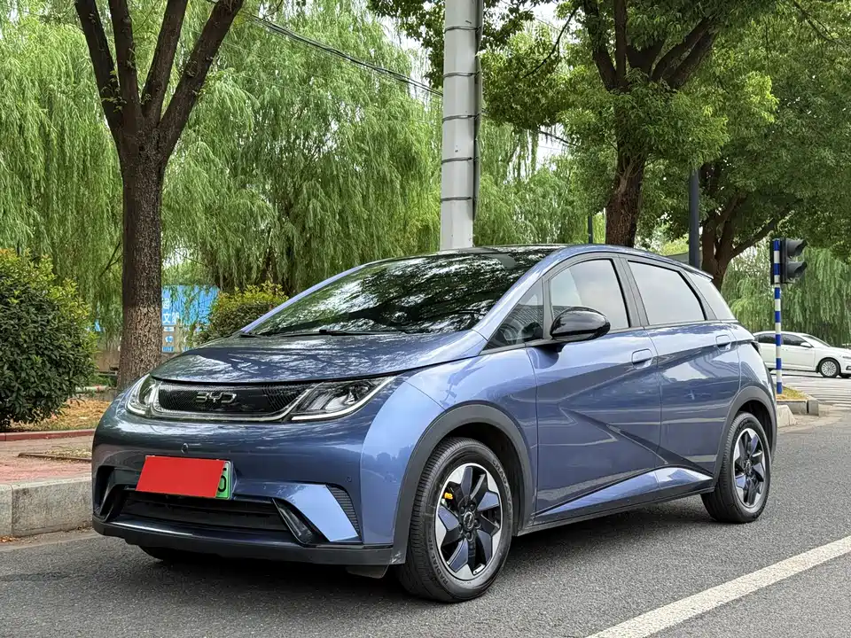 BYD dolphin