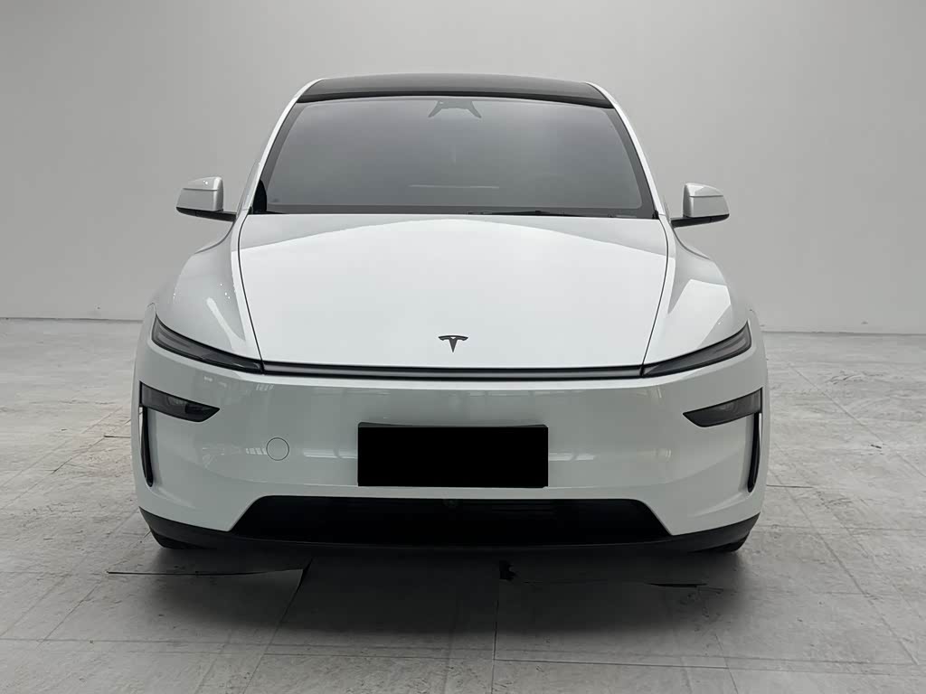 Tesla Model Y L