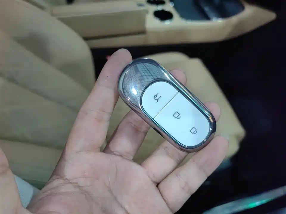 Leapmotor C11