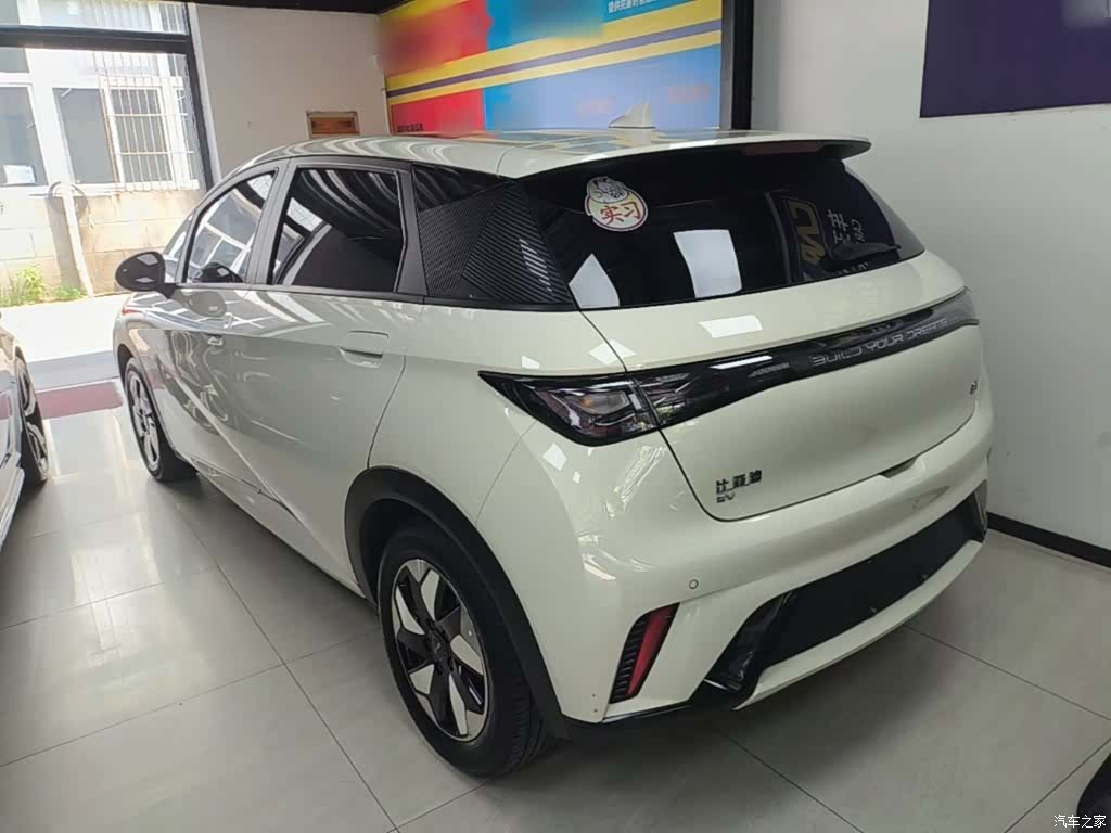 BYD Dolphin, 2024 все фото