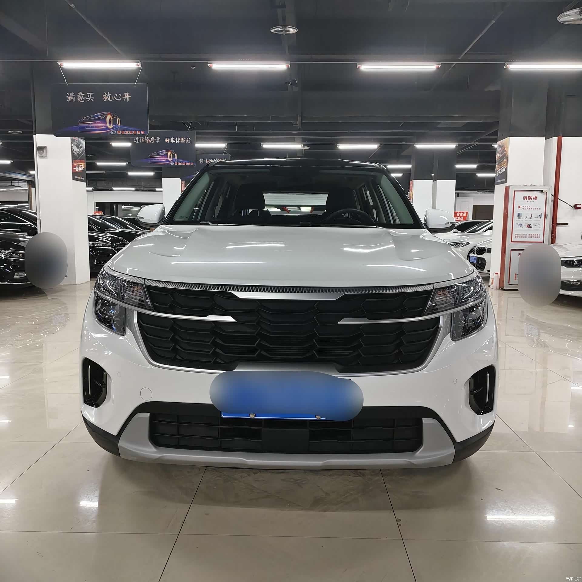 Kia Seltos, 2024 2